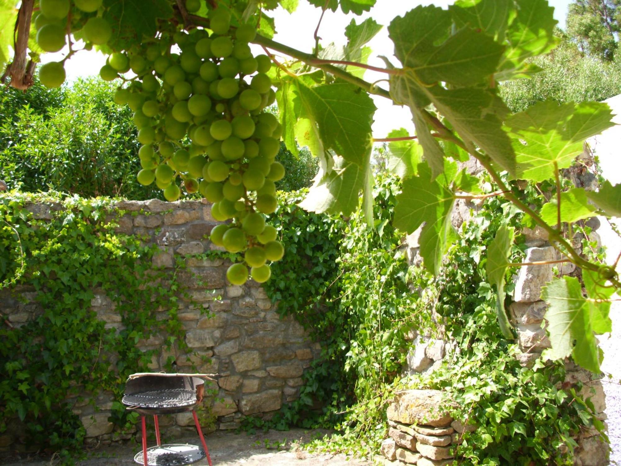 Finca Esmeralda Guest House Zahora Exterior photo